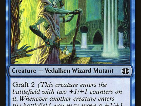 Vigean Graftmage [Modern Masters 2015] Hot on Sale