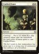 Unified Front [Battle for Zendikar] For Sale