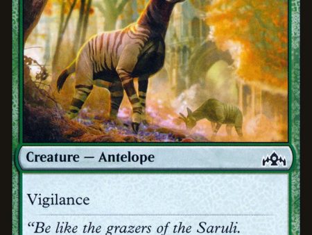 Wary Okapi [Guilds of Ravnica] Sale