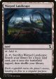 Warped Landscape [Commander 2018] Online